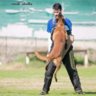 happydog-training