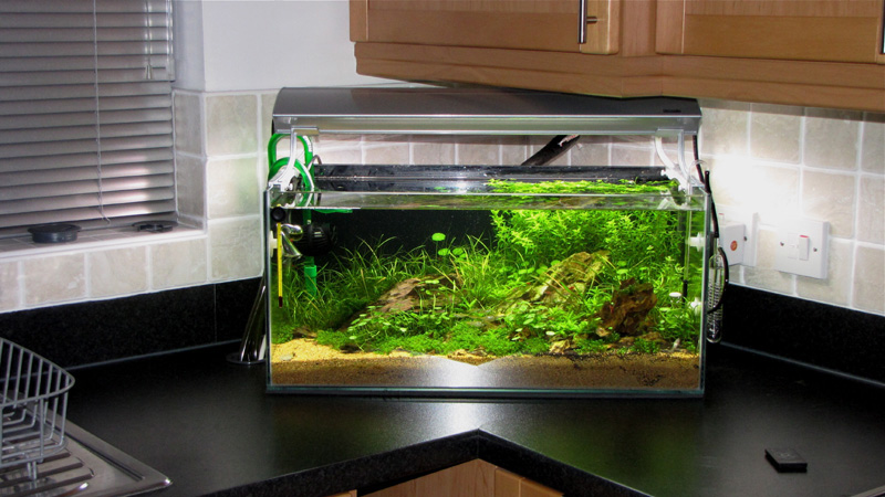 Aquascape 60 Litre Highslide JS