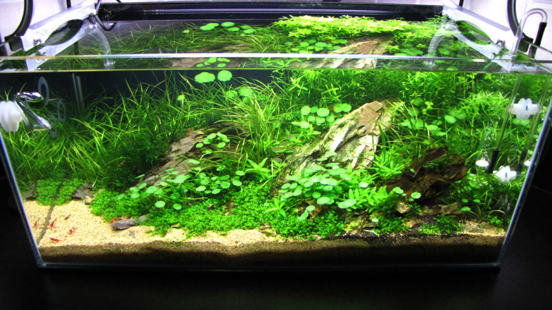 Aquascape 60 Litre Highslide JS