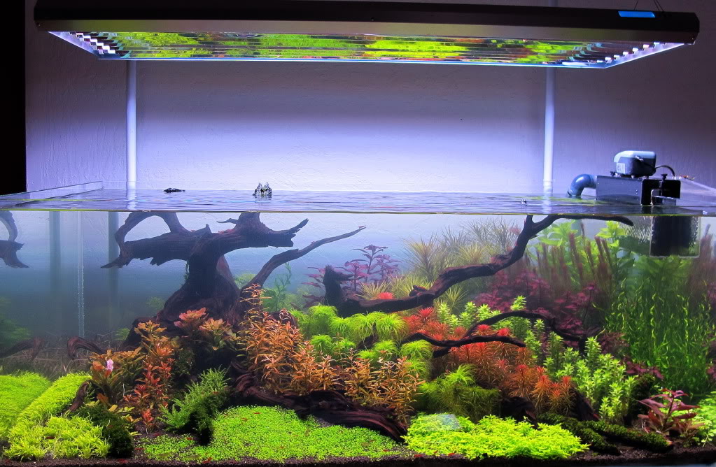 120gal4-29.jpg