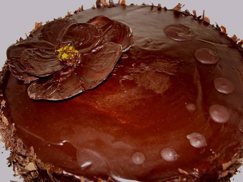 156690_27Oct09_chocolate_orange_cake_close_smallvs.JPG