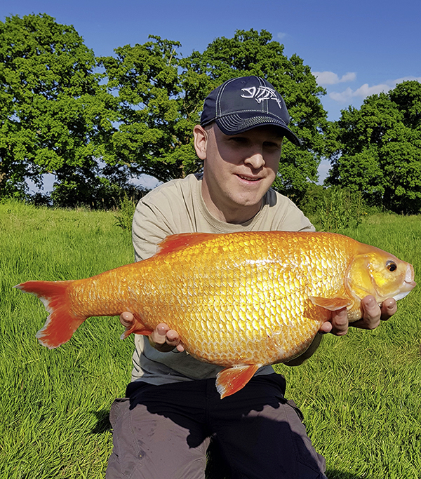 Angler lands one of world's largest goldfish in French lake