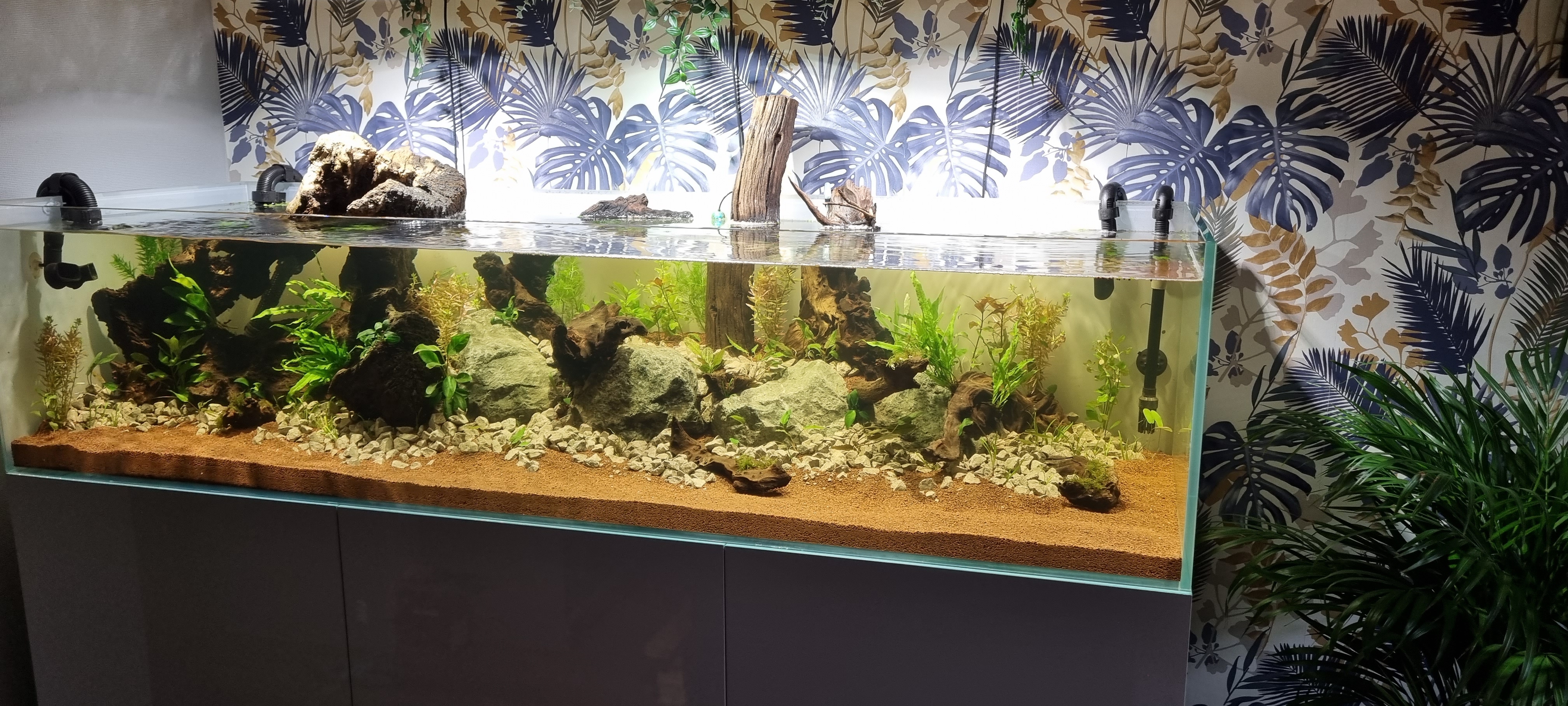 JBL Manado Natural Substrate for Freshwater Aquarium Plant Sand Gravel Fish  Tank