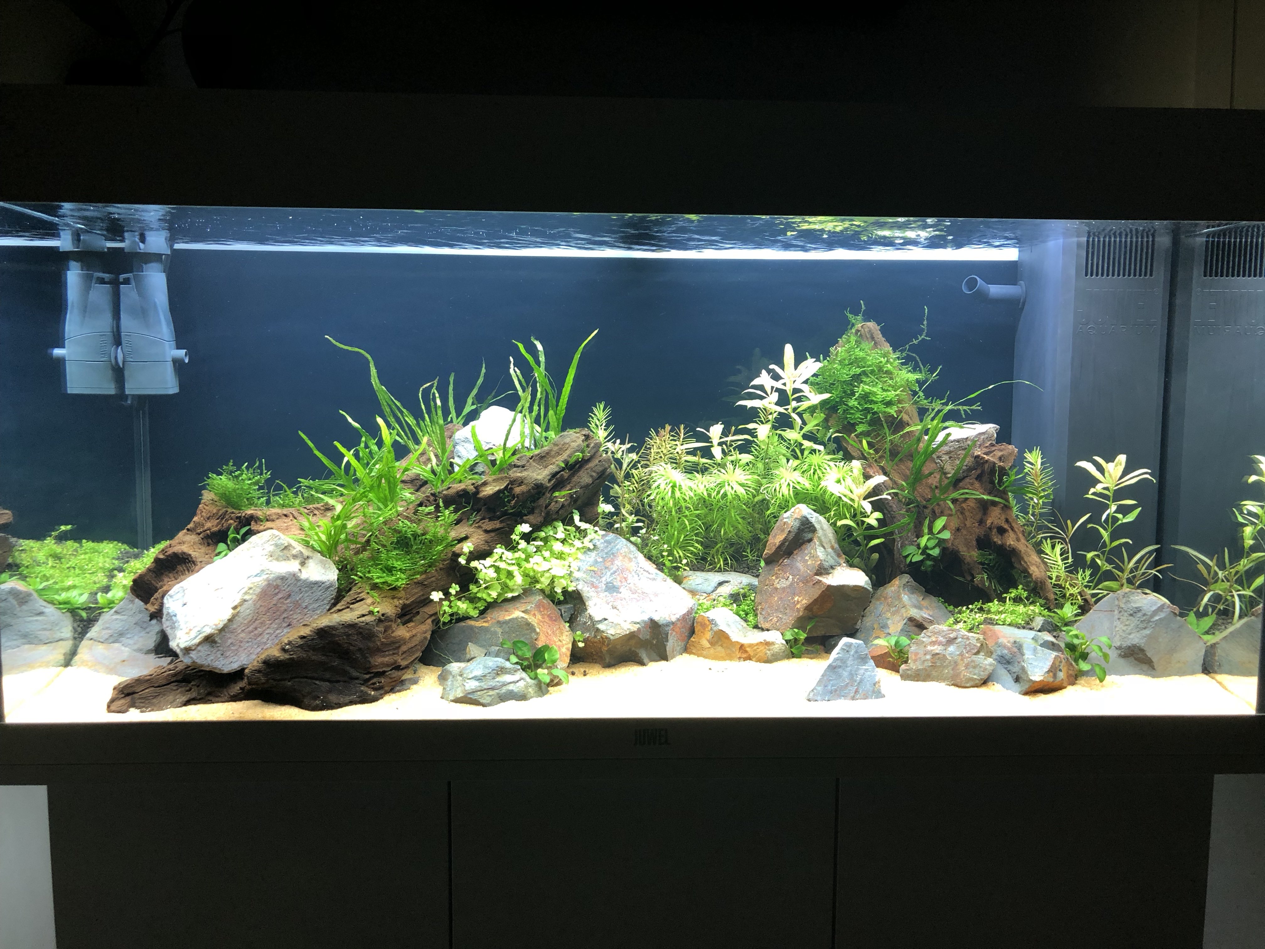 First Planted Tank - 180L | Page 2 | UK Aquatic Plant Society
