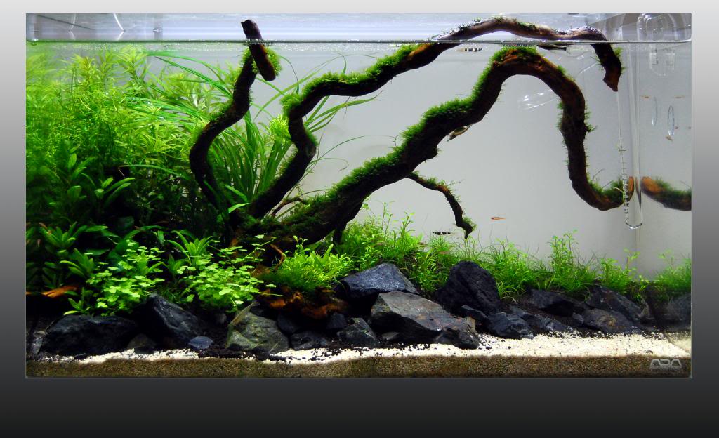 ADA60P-FTS2307_zpsf1e55271.jpg