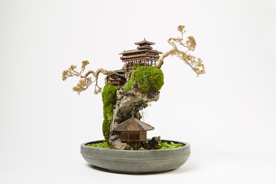 cliff-bonsai-6.jpg