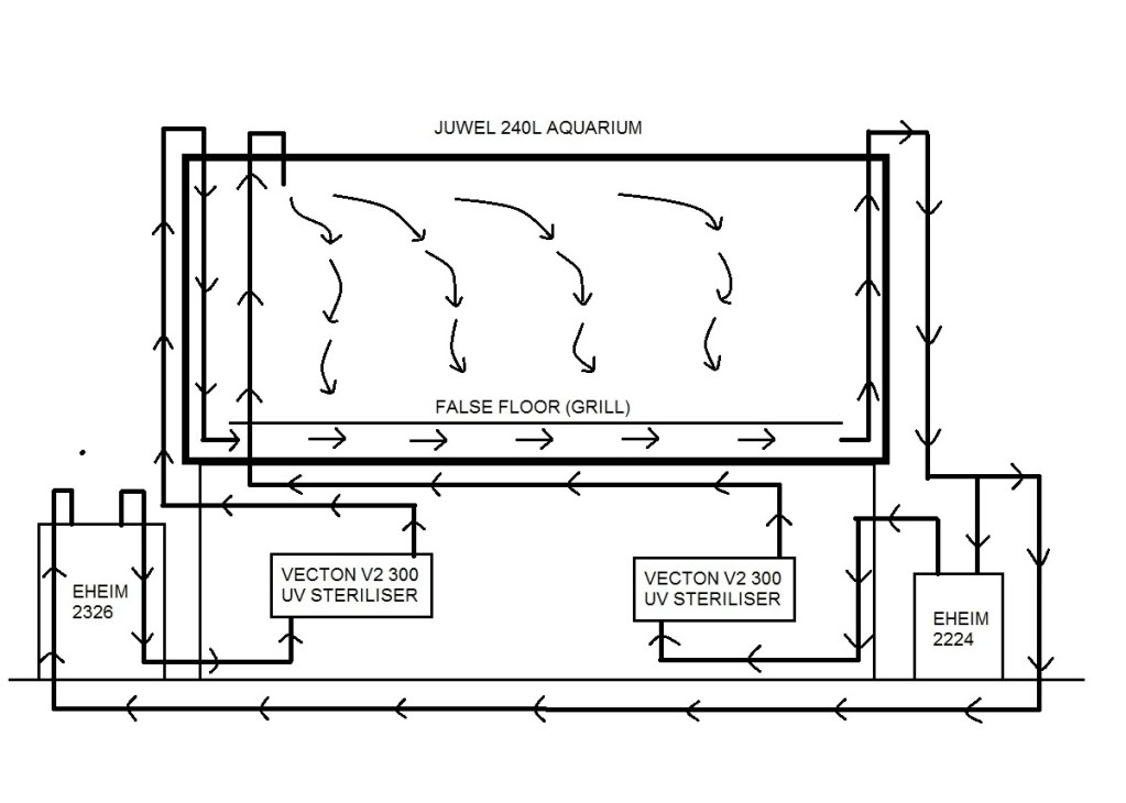 diagram.jpg