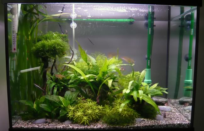 fts-1.jpg