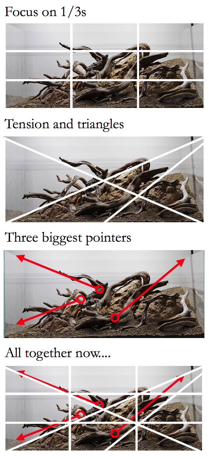 hardscape%20analysis.jpg