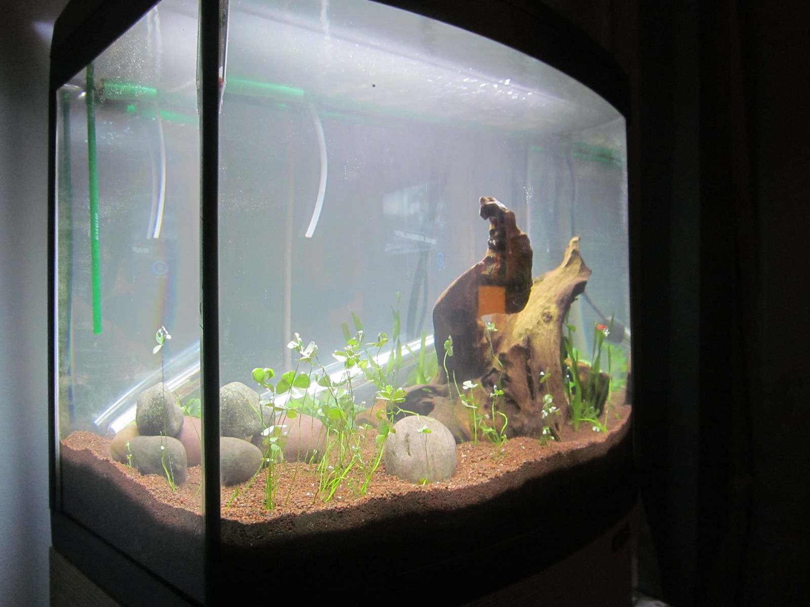 JBL Manado Natural Substrate for Freshwater Aquarium Plant Sand Gravel Fish  Tank