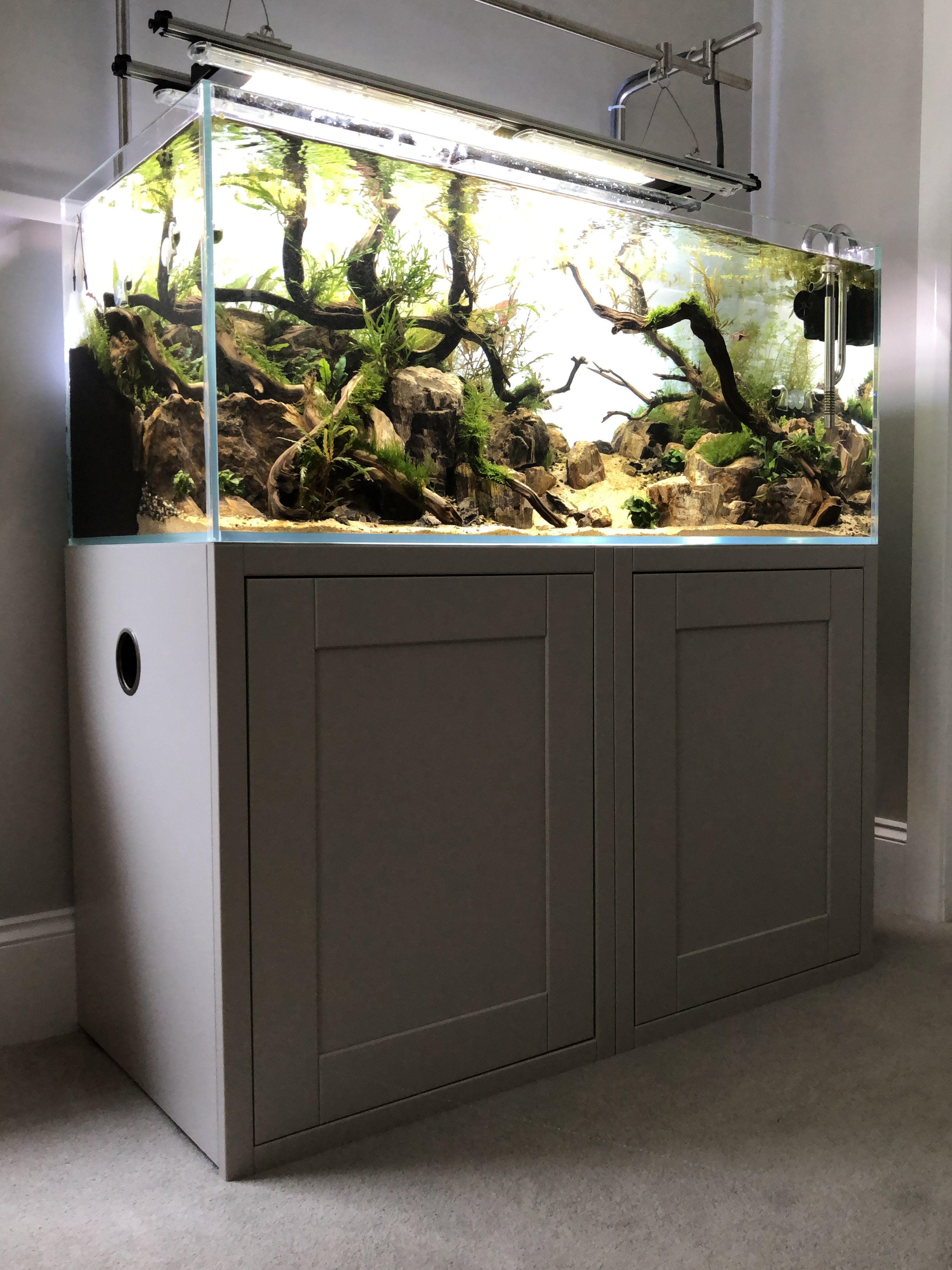 waarschijnlijk Pebish veeg 120cm Nature Aquarium | UK Aquatic Plant Society