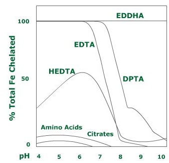 iron-chelate.png