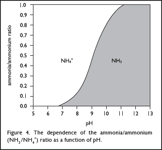 L_IMG_figure4.gif