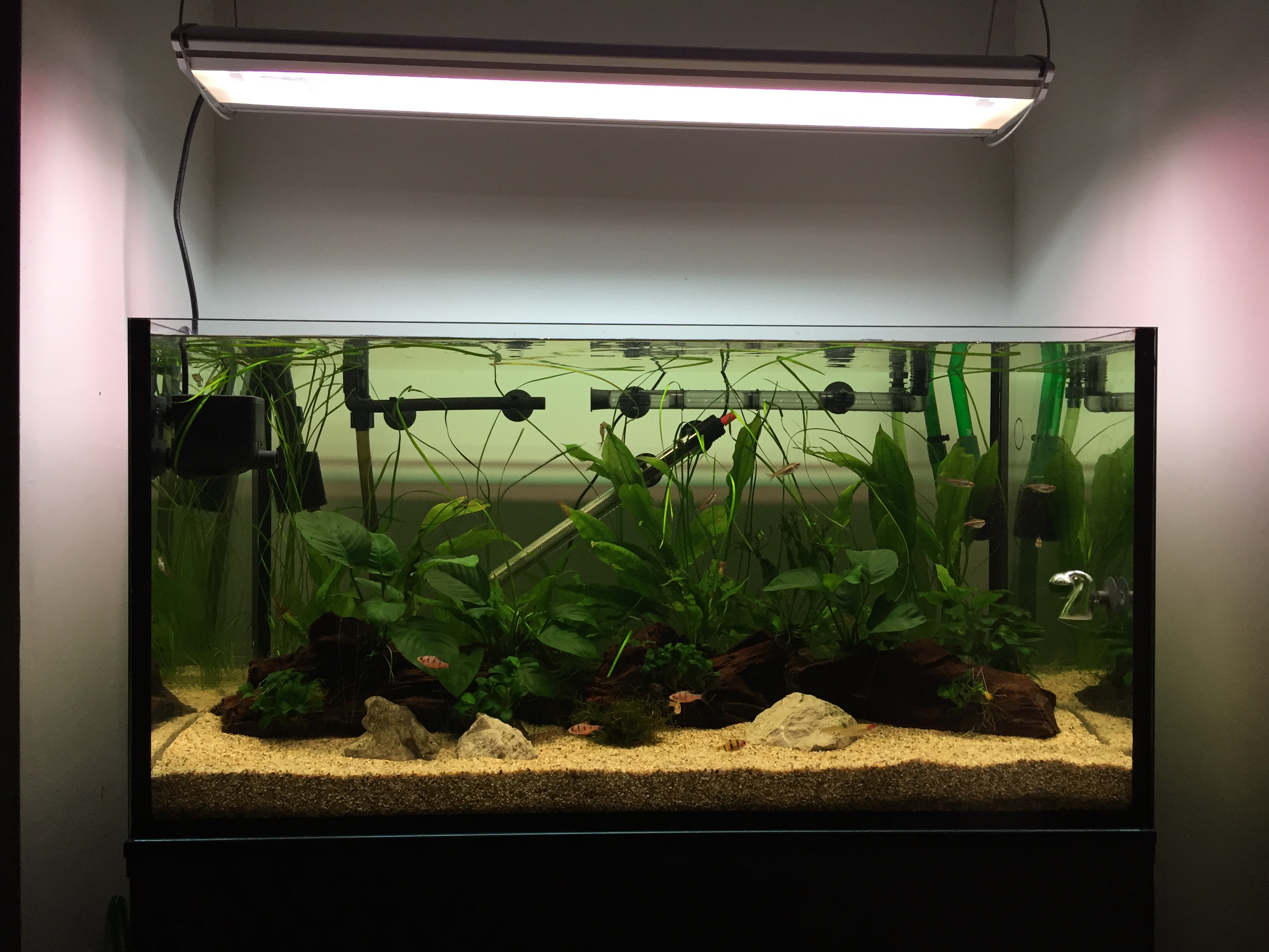 New Scape.jpg