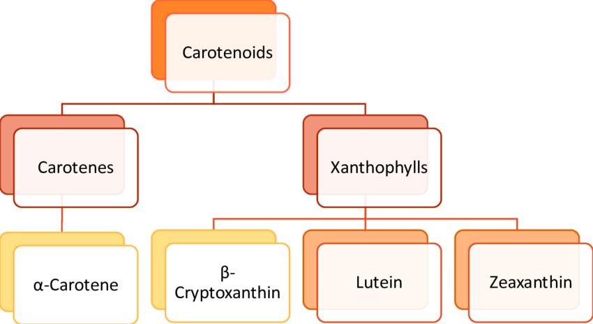 oids-Those-shown-in-yellow-have-vitamin-A-activity.png