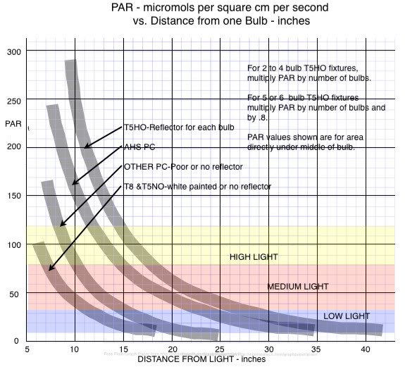 parvsdistvariousbulbs2-jpg.7099.jpg