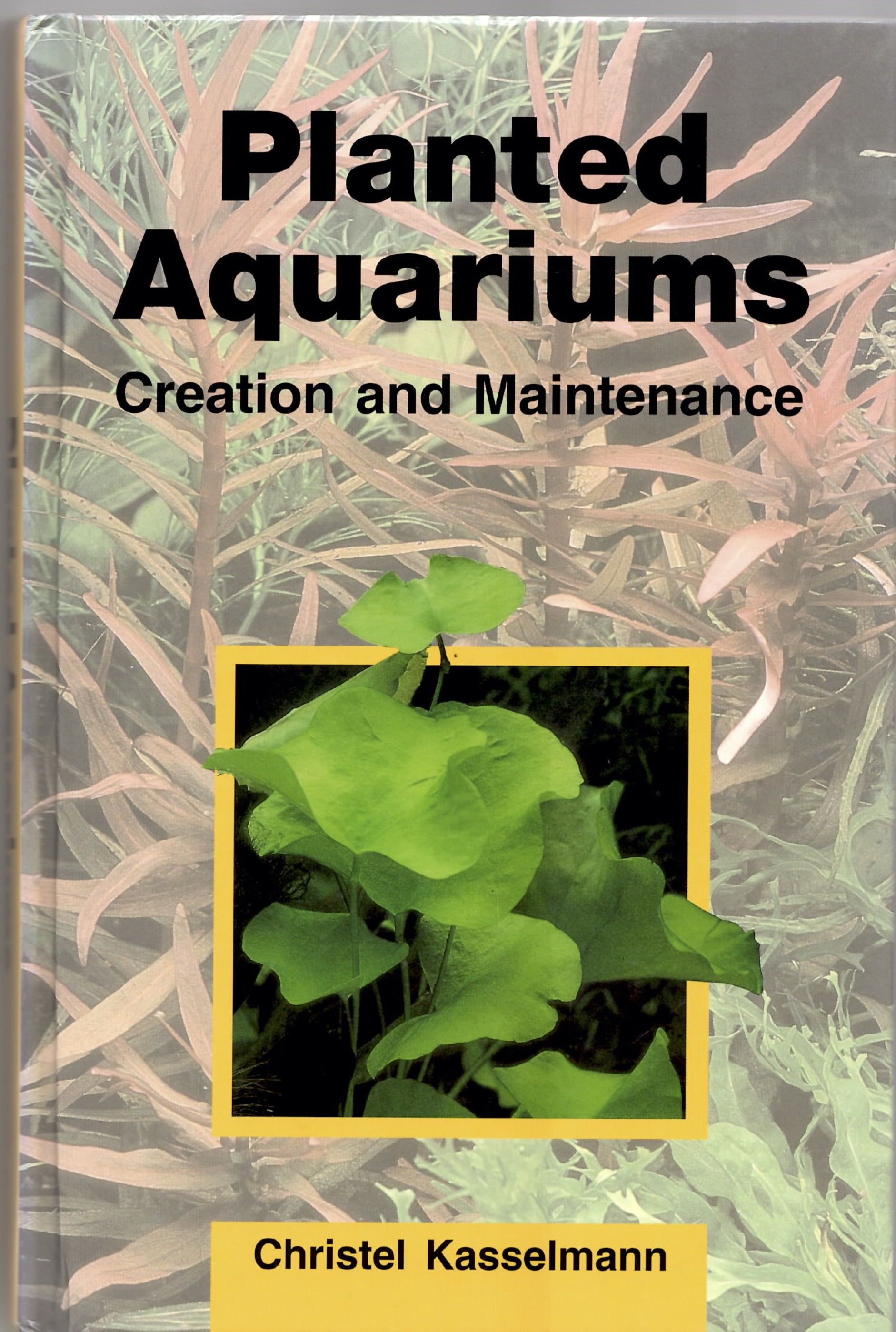 Pflanted Aquariums[4] copy.jpg