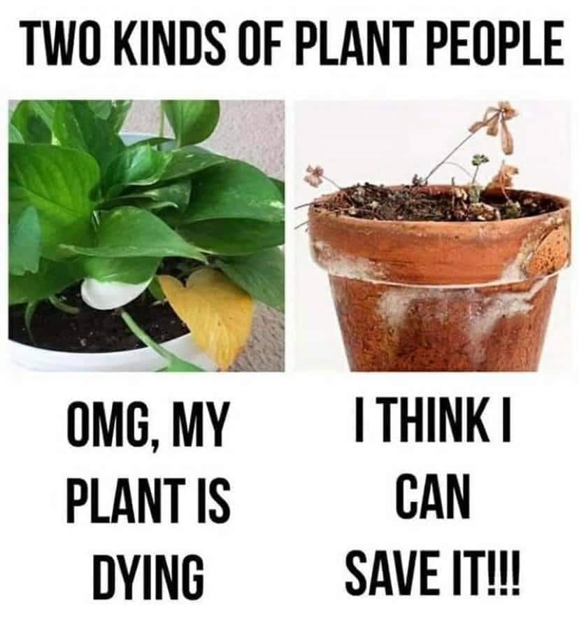 plant people.jpg