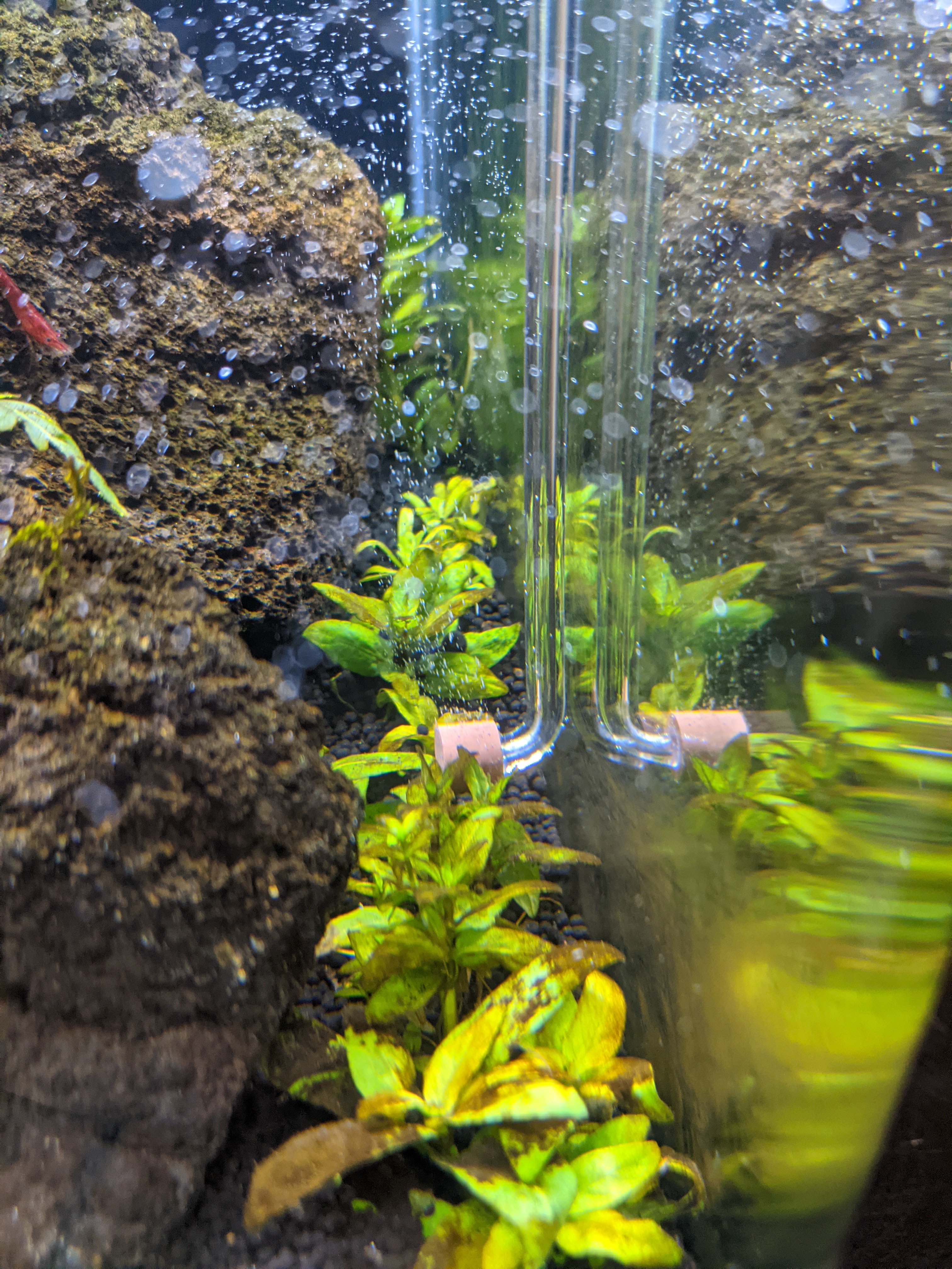 Aquarium Filter Lily Pipes: Aquario Neo Skimmer