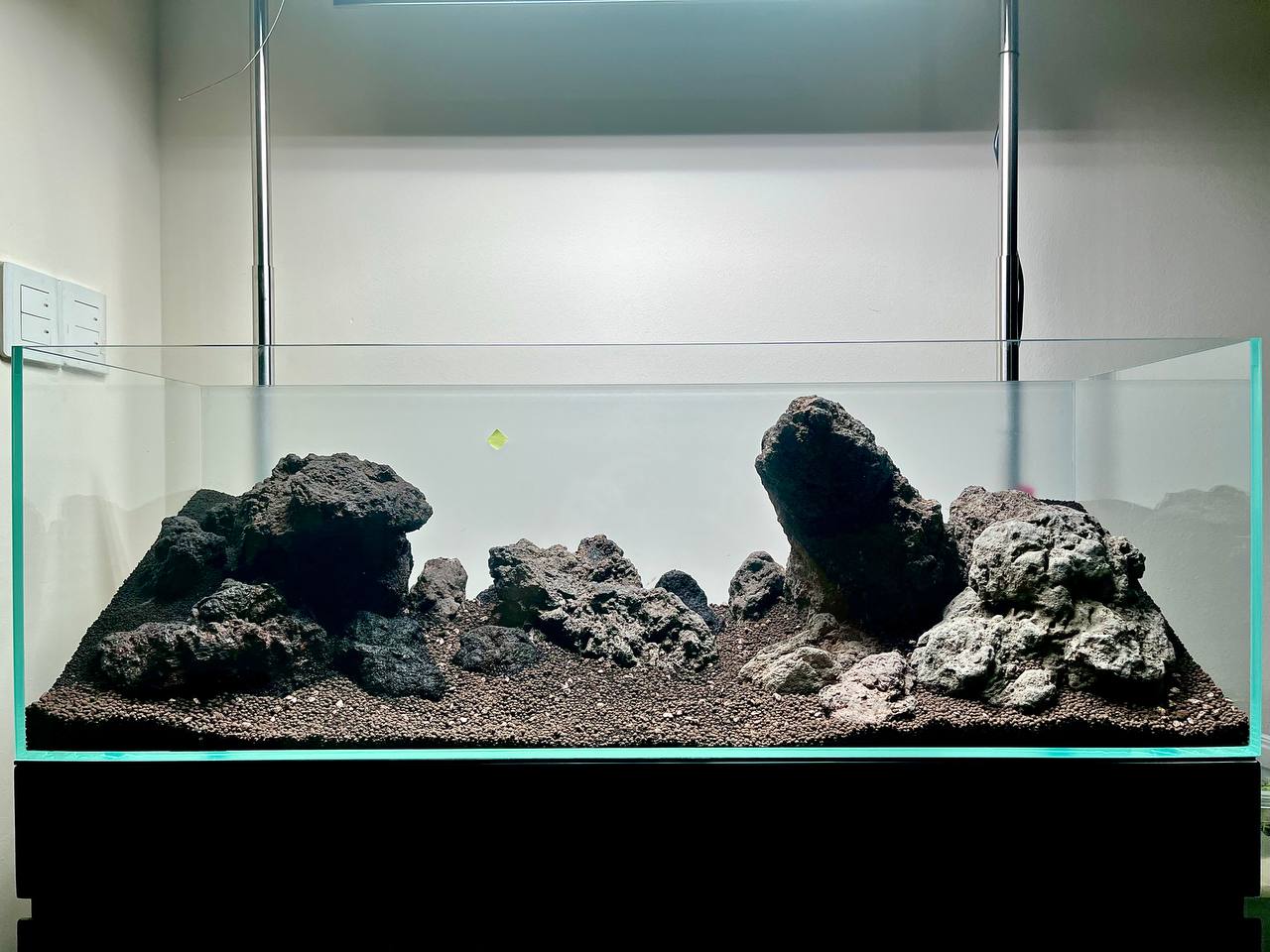 Rescape left and middle.jpg