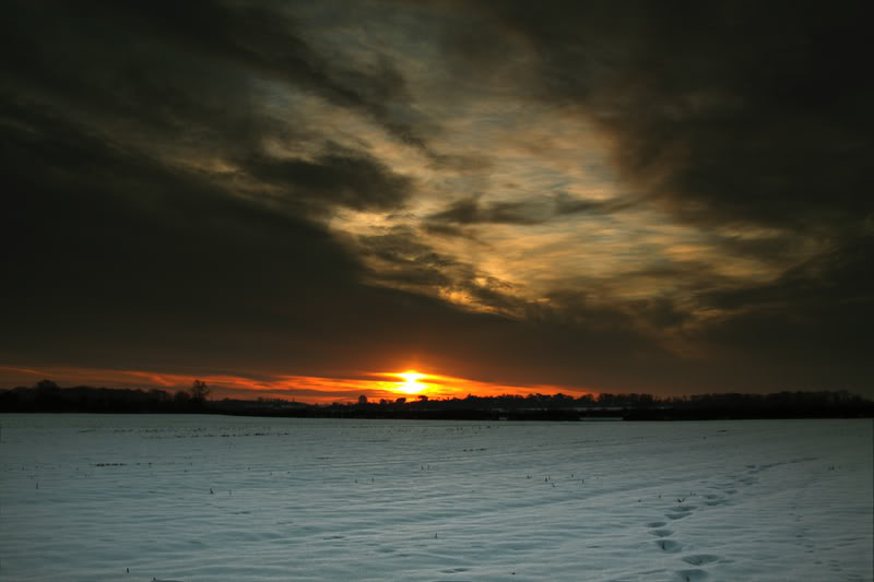 snow-sunrise-crop.jpg