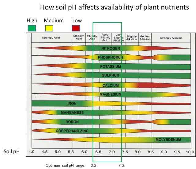 soil_ph_nutrient_availability.jpg