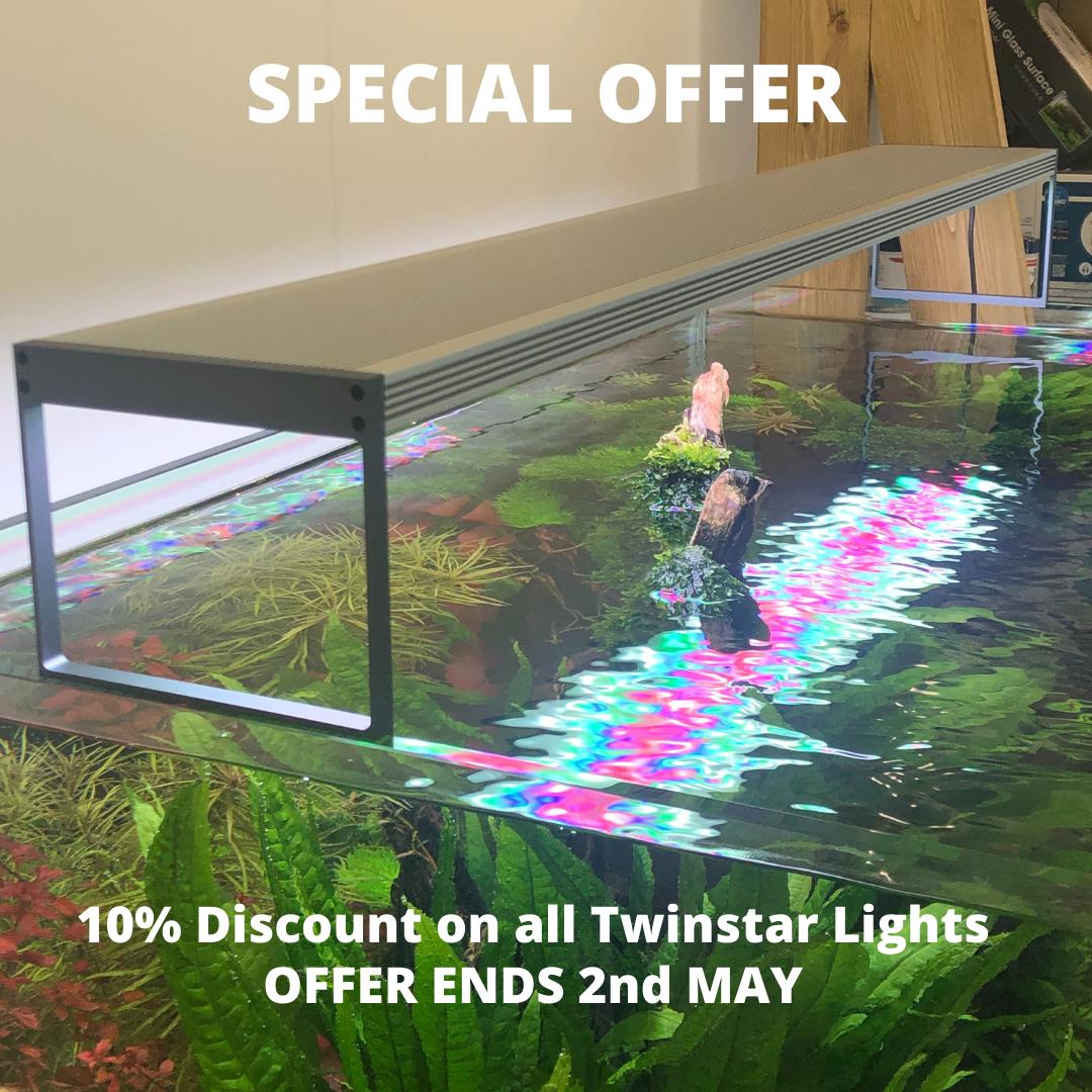 SPECIAL OFFER TWINLIGHTS.png
