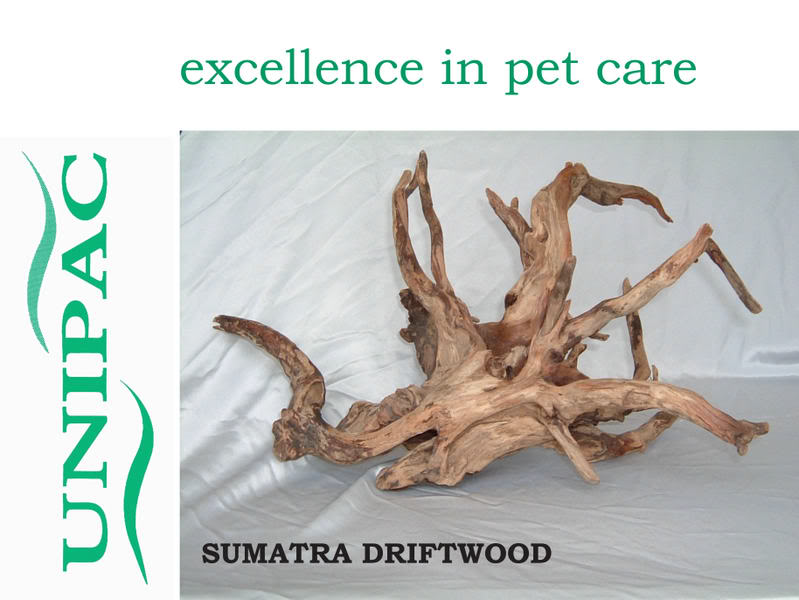 SUMATRADRIFTWOOD.jpg