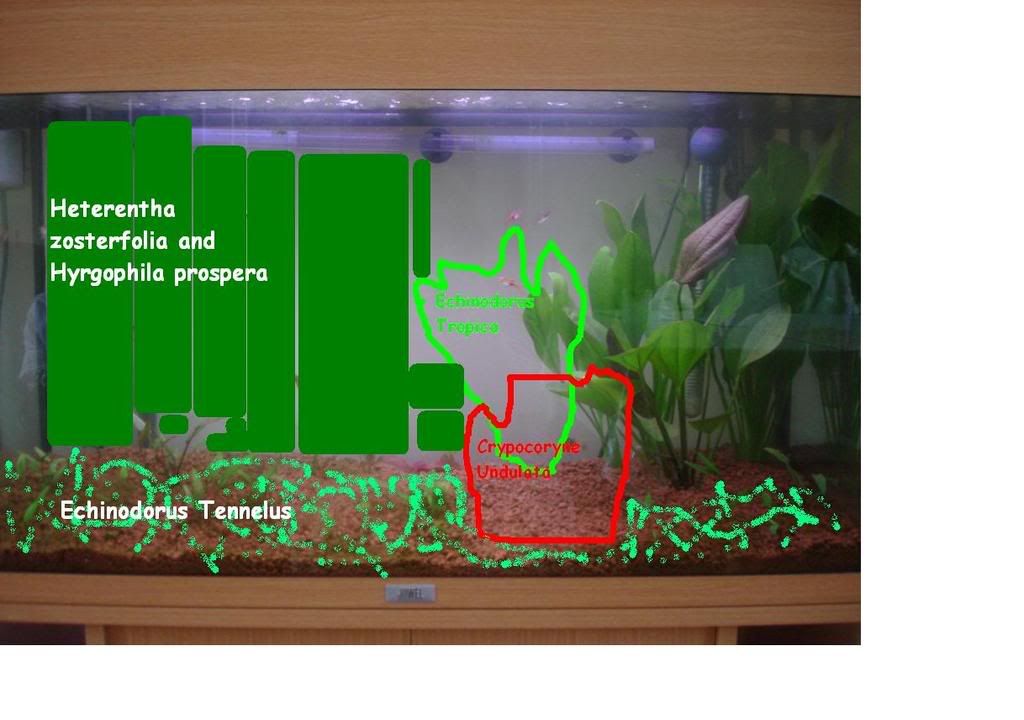 Tankplan30thaugust08.jpg