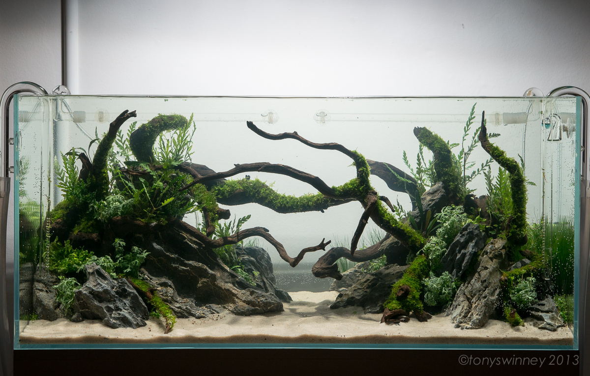 Tropica_100cm-3617.jpg