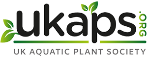 UKAPS-LOGO-04.png