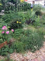 front_gardenJune2018.jpg