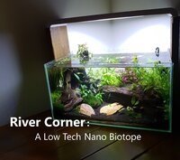 Low Tech Nano Biotope.jpg