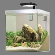 15101_fluval_f35_aquarium_equipped_ukw400_h400.jpg