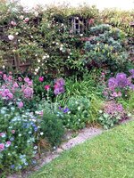 Back_garden_June2019.JPG