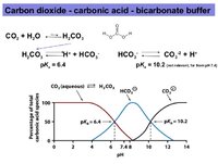 CO2_HCO3_CO3_pH.jpg