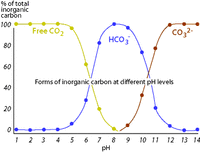 WQassess3bPICT1.gif