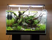 Nacd aquariums best sale