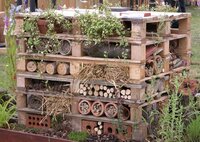 wildlife-trust-insect-hotel.jpg