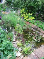 pond_view_towards_no14-jpg.jpg