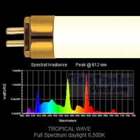 tropical-wave-lampLG.jpg