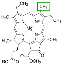 1024px-C-3_position_Chlorophyll_a.svg.png