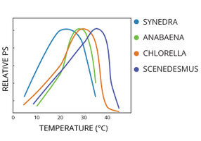 watertemp_photosynthesis.jpg