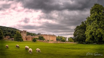 Early Morning Chatsworth II.jpg