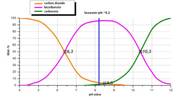 Ohnemueller__Carbonate_co2_scrubbing_process__Bild2_Kalk_Kohlensaeuregleichgewicht-c18e9fec9e...jpeg