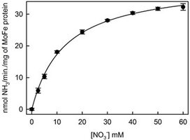 Nitrate reductioon by V70A mutant of nitrogenase.jpg