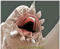 microscopic-creatures-memes-36-5f7c2ede7195c__700.jpg