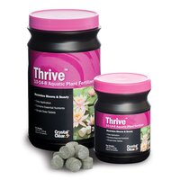 crystalclear-thrive-2group-1000__10441.jpg