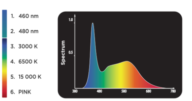 Plant-Spectrum-Bands-CA-EN.png