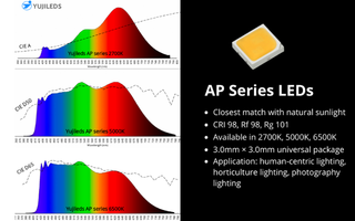 yujileds-fp.png